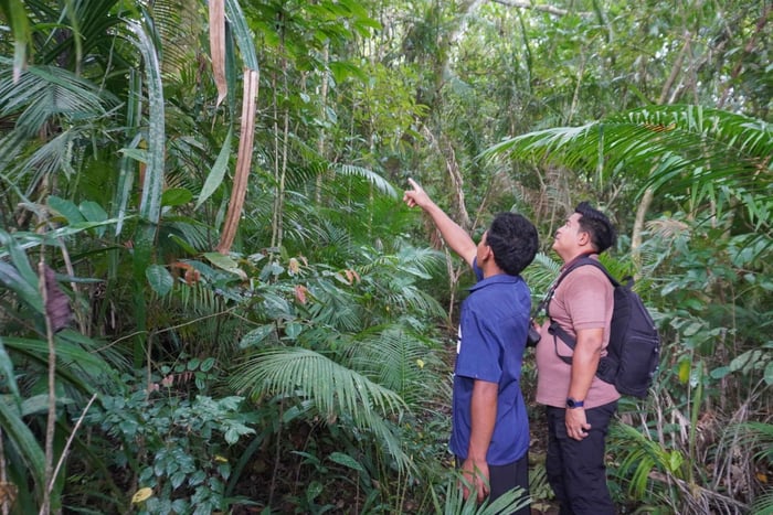 Batukaru Rainforest Trekking & Spirit Distillery Tour