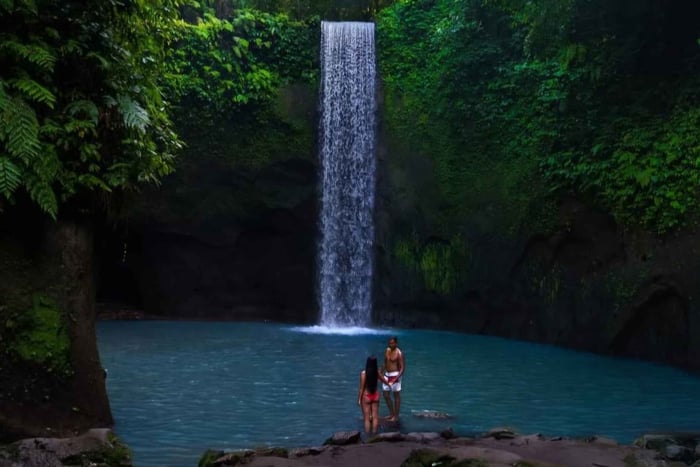 Het beste van Ubud: waterval, tempel en rijstterras