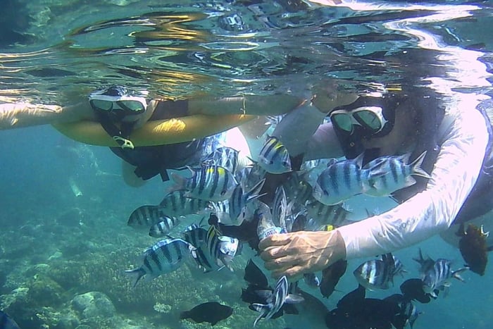 Snorkel na Blue Lagoon e Kart em Passeio Particular