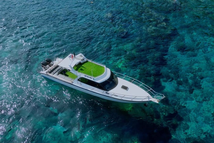 From Bali: Private Half-Day Snorkeling Tour to Nusa Penida