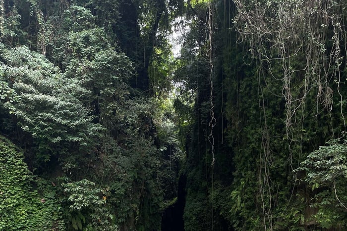 Vanuit Noord-Aling Aling Waterval en Blue Lagoon Tour