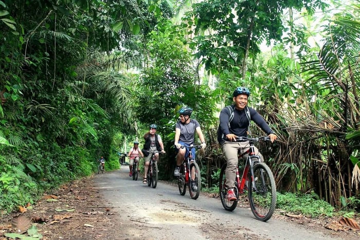 Kintamani Downhill Bike Tour & Firefly Watching