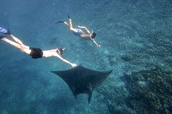 Labuan Bajo: Komodo Park Small Group Boat Tour | 6 Spots