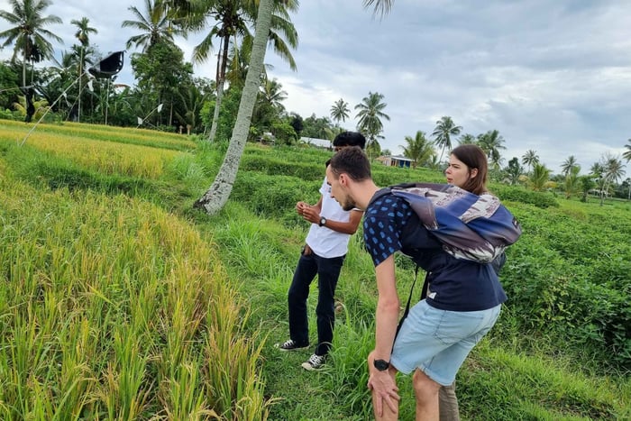 Lombok: Private Customizable Tour with Driver-Guide