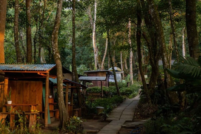 Munduk: Twin Lakes Jungle Trek, Canoe & Banyuwana Waterfall