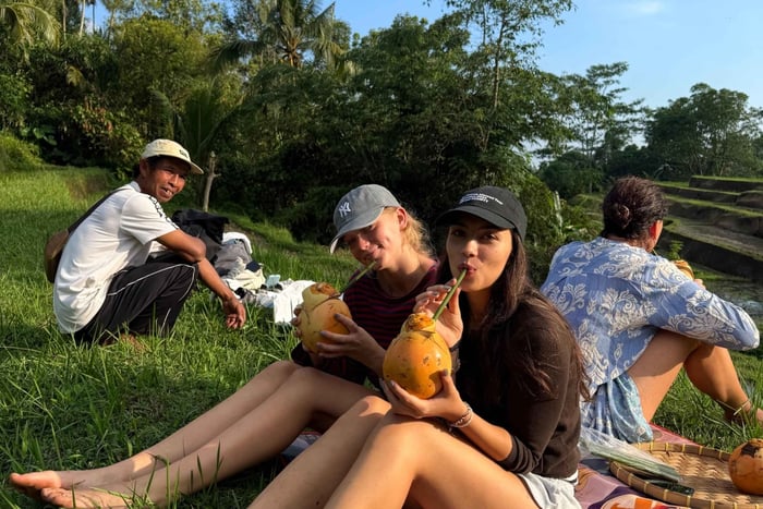 Nol titude : découvrez l'agriculture communautaire au cœur de Bali