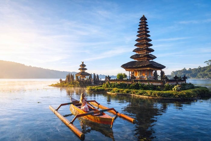 Bali Nord: Delfino, Tempio di Ulun Danu e Cascata di Banyumala