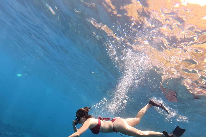 Nusa Penida: esnórquel diario con mantarrayas, tortugas y delfines