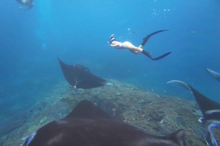 Nusa Penida: Manta Point and Gamat Bay Snorkeling Tour