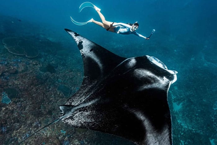 Nusa Penida: Snorkleeventyrpakke med djevelrokker
