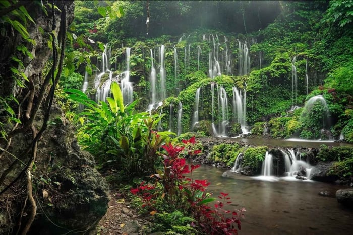 Private North Bali Tour with 10 Itinerary Options