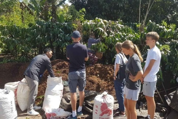 Pupuan Village Walk: Rice Fields, Village Life & Local Lunch