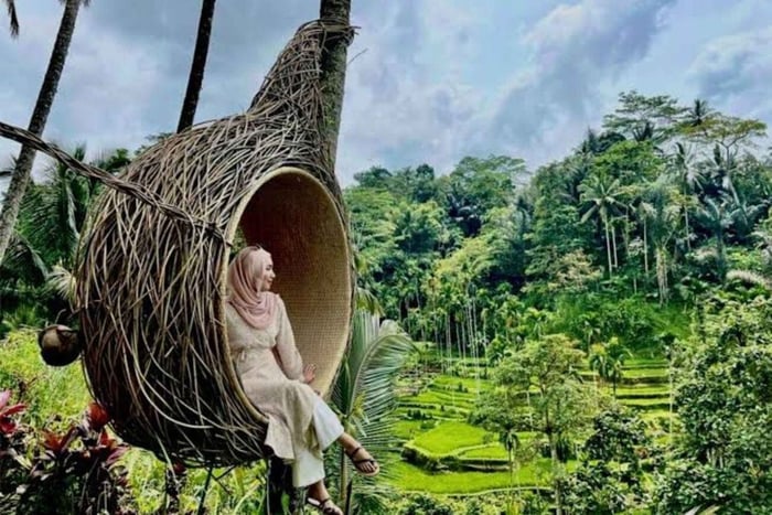 Rice Terrace, Swing, Waterfall&Temple Tour with Pickup