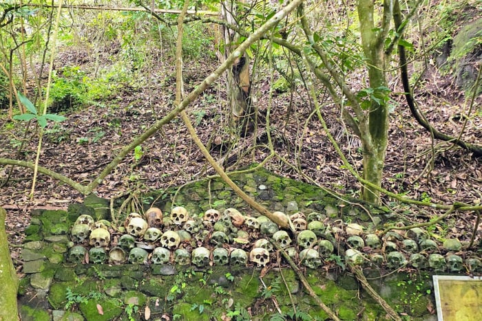 Trunyan Cemetery Tour (No Burial, No Smell)