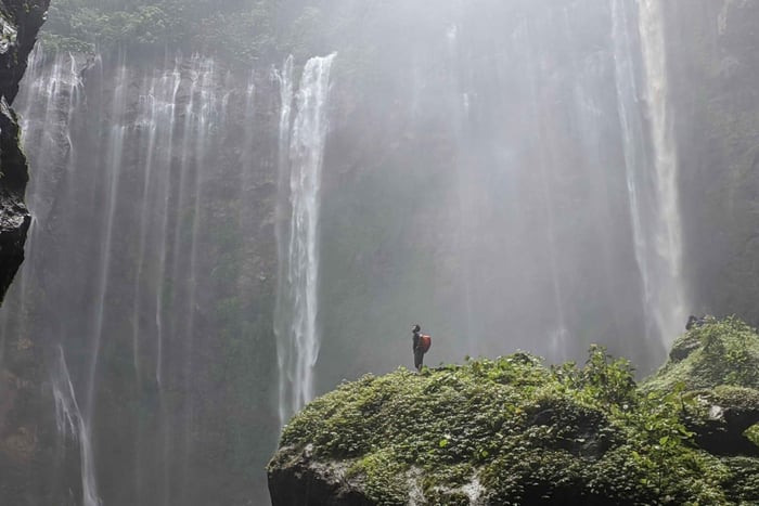 Tumpak Sewu, Bromo & Ijen Tour mit Baluran Safari Option