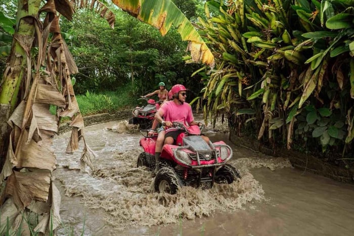 Ubud: Dadi Bali Adventures in All-terrain vehicle quad con pasto
