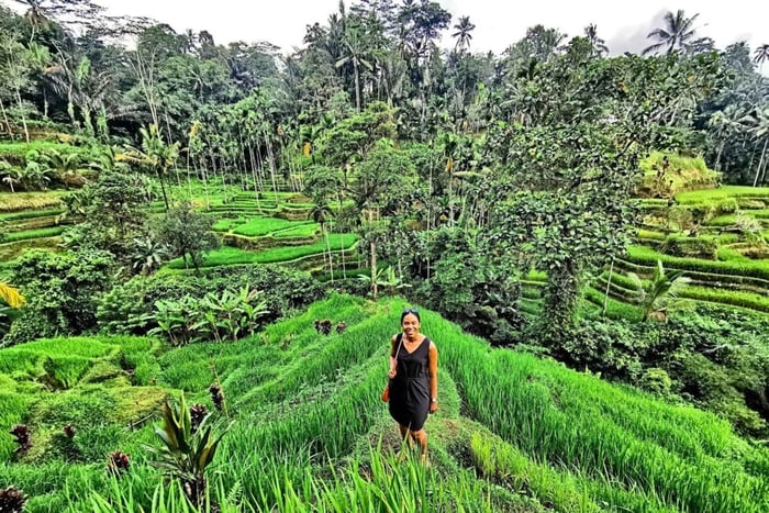Ubud: Guided Rice Field, Waterfall, and Coffee Plantation …