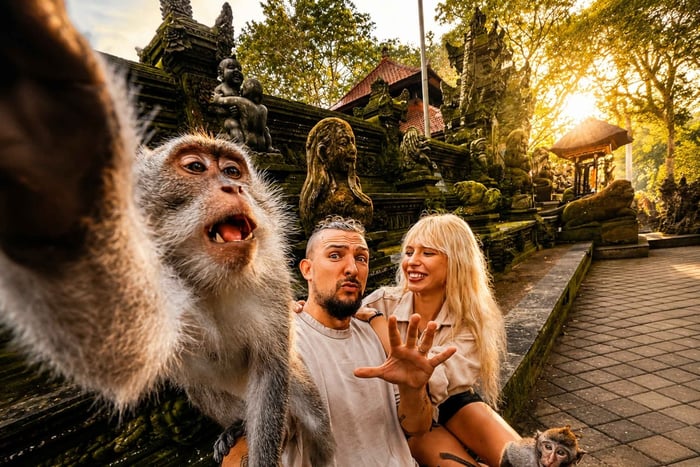 Ubud: Apinametsä, viidakkokeinu ja piilotettu vesiputous -kierros