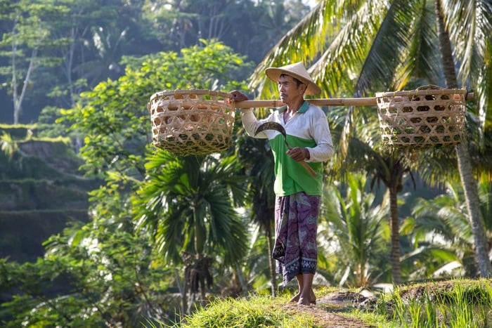 Ubud:Monkey Forest, Rice Terraces, Water Temples, Waterfalls