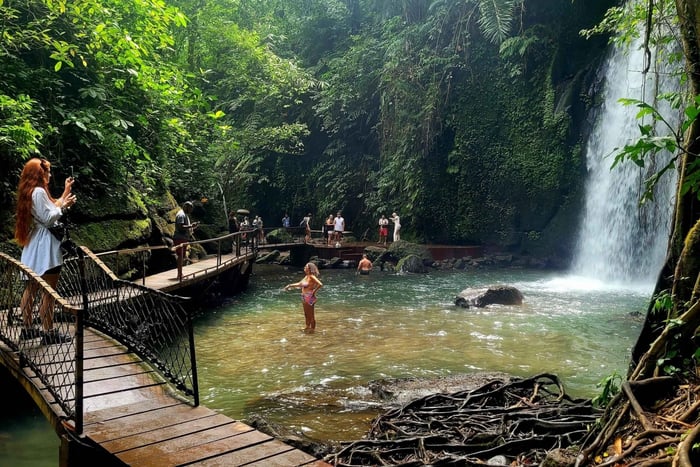 Ubud: Private Half-Day Tour with Rice Terrace & Waterfall