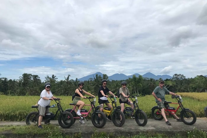 Ubud: Reisterrassen & Dörfer Halbtagestour mit dem Fat Tire E-Bike