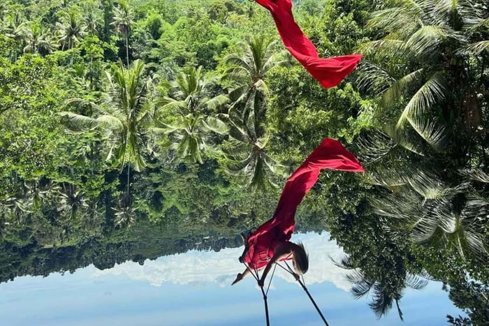 Rundtur på Ubud Swing Heaven med upphämtning i privat bil