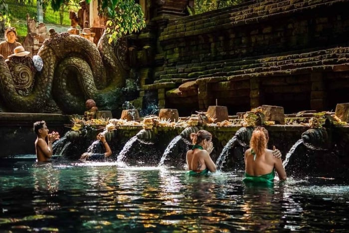 Ubud: Tirta Empul, cascada de Kanto Lampo, terrazas de arroz y columpio