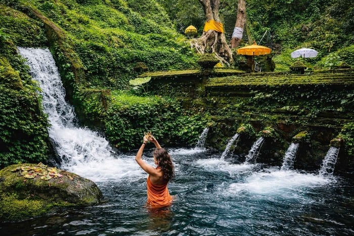 Ubud: Uma Anyar, Rice Terrace & Tample Purification