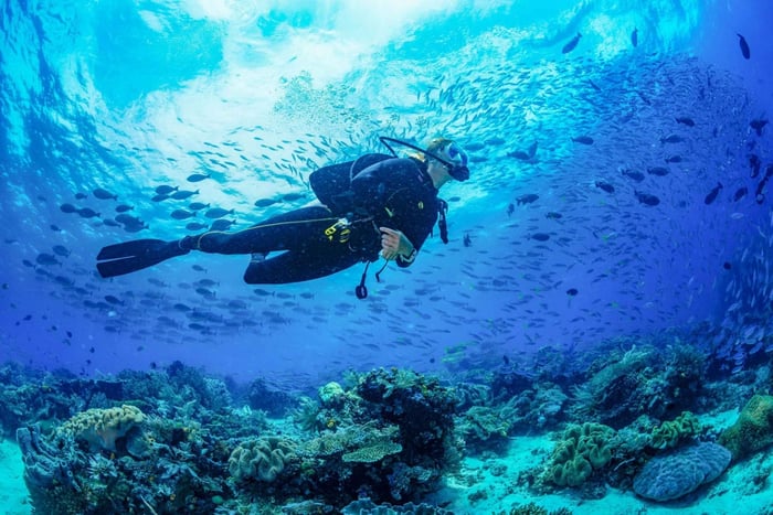 3-dniowy kurs nurkowania PADI Open Water