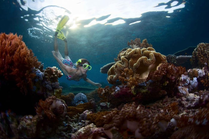 Fra tur til Lembongan og Penida med 3 snorkleplasser