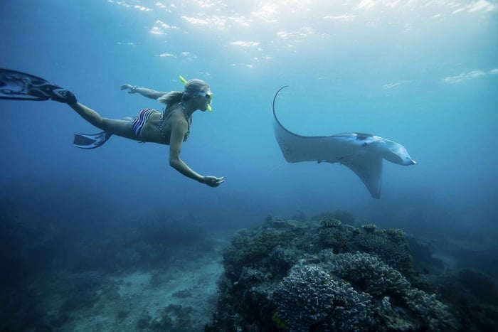 Swim with Manta Rays in Nusa Penida