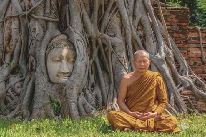 Ayutthayas höjdpunkter, privat halvdagstur och biljett