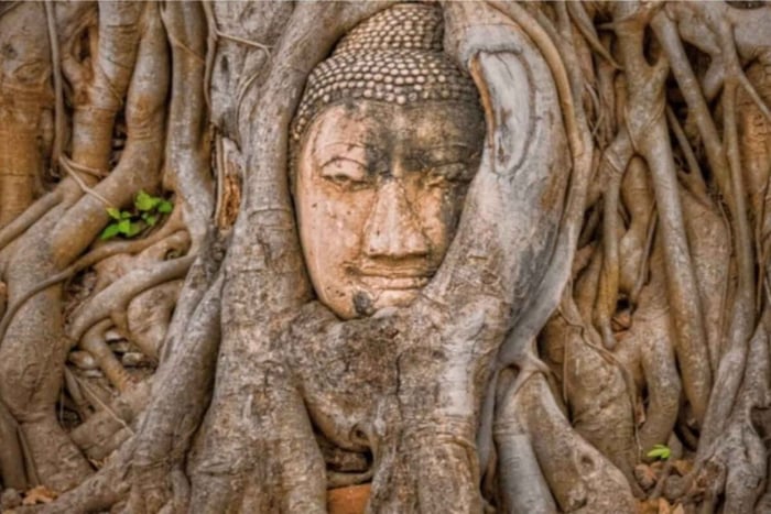 tour privado de Ayutthaya