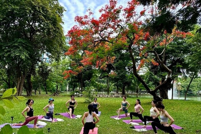 Bangkok: Morgenyoga for alle nivåer i Lumphini Park