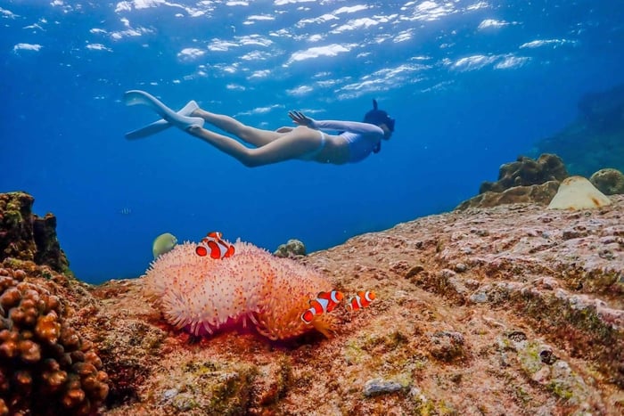 Bangkok: Nemo Island-dagstur med dronebilleder og frokost