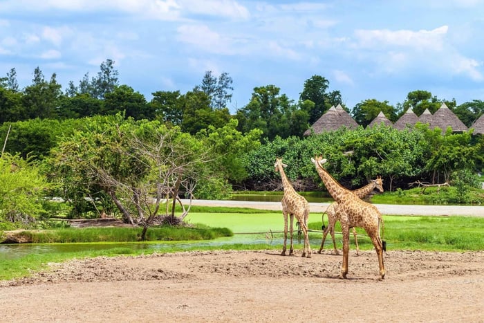 Bangkok Safari World et Makkha Spa avec transfert privatif