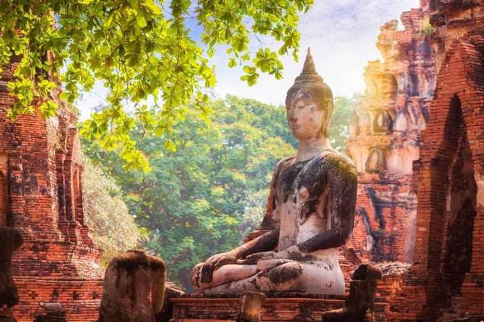Da Bangkok: Templi di Ayutthaya e tour in barca con pranzo
