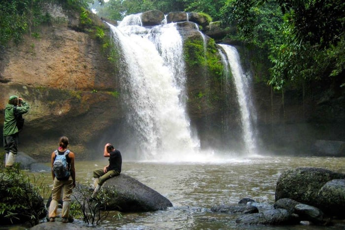 Depuis Bangkok : visite privative d'une journée au parc national de Khao Yai
