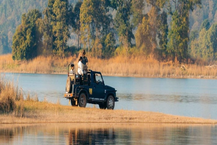 Ranthambore: safari de tigres con guía experto y transporte desde/hasta el hotel