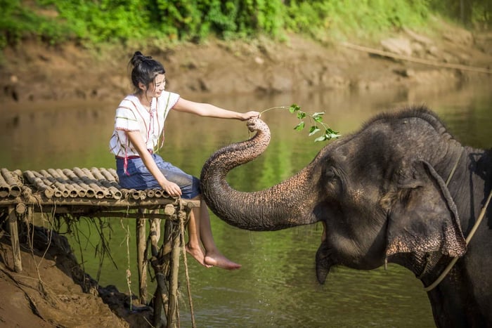Elephant Sanctuary & Erawan Waterfall Tour