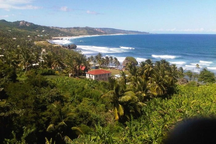 Barbados: 5.5-Hour Island Tour Plantation, Lunch and Drinks