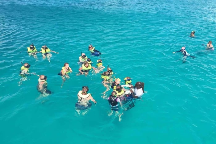 Bridgetown: crucero por la bahía de Carlisle para ver tortugas y naufragios