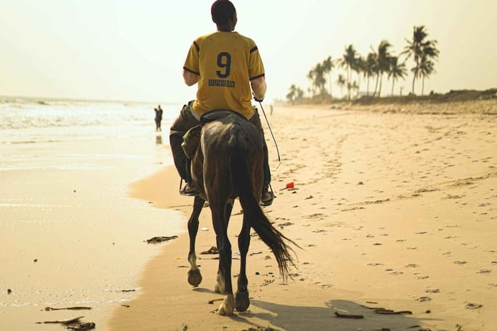 Saint John: Horseback Ride with Beach & Countryside Options