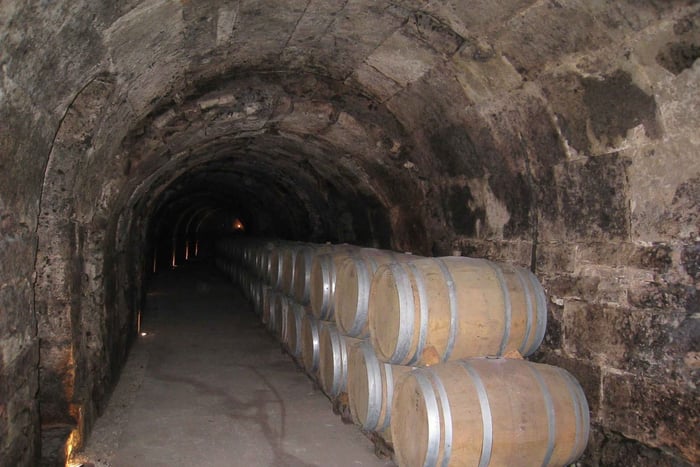 Da Madrid: Tour di 3 Cantine Diverse nella Ribera del Duero
