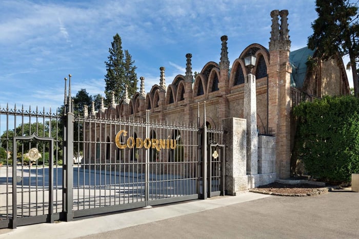 Barcelona: Wycieczka z przewodnikiem po Casa Codorníu z degustacją wina Cava