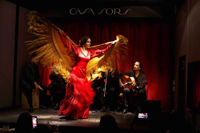 Barcelona: Flamenco Premium Show and Tour Guitar Museum