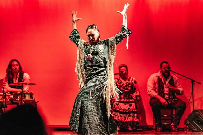 Barcelona: Flamenco Show at the Theater