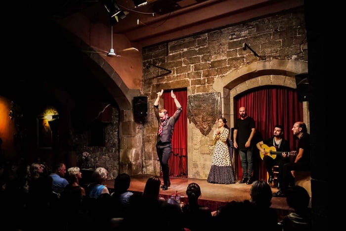 Passeio Particular c/ Tapas, Degustação de Vinhos e Espetáculo de Flamenco