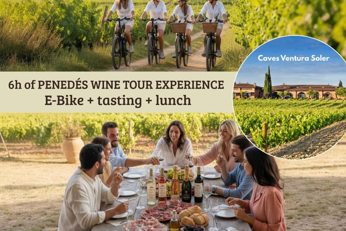 From Barcelona - E-Bike Tour of Vineyards, Family Winery & Spain's Oldest Winery