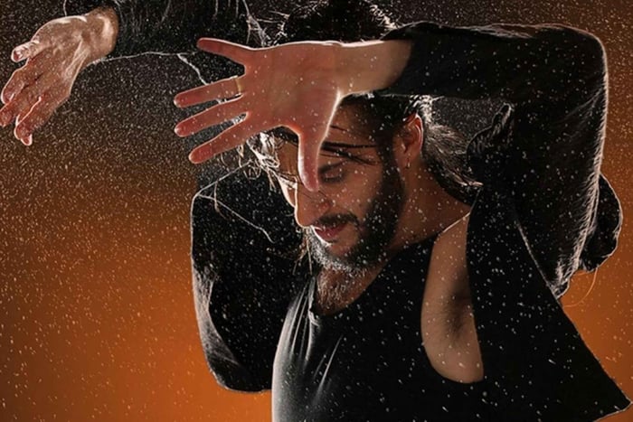 La Perla del Born – flamencoshows